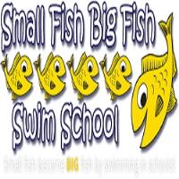 Small Fish Big Fish Swim School image 1